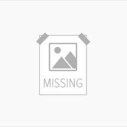 Story Image