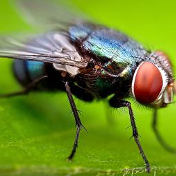 Story Image
