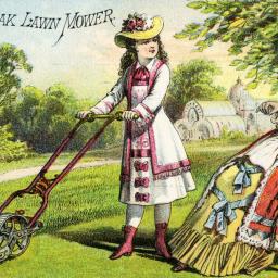 Story Image
