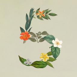 Story Image