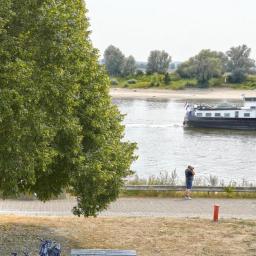 Story Image