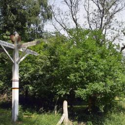Story Image