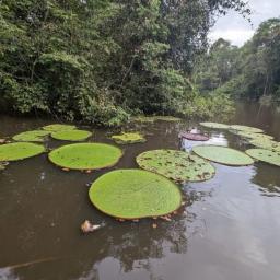 Story Image